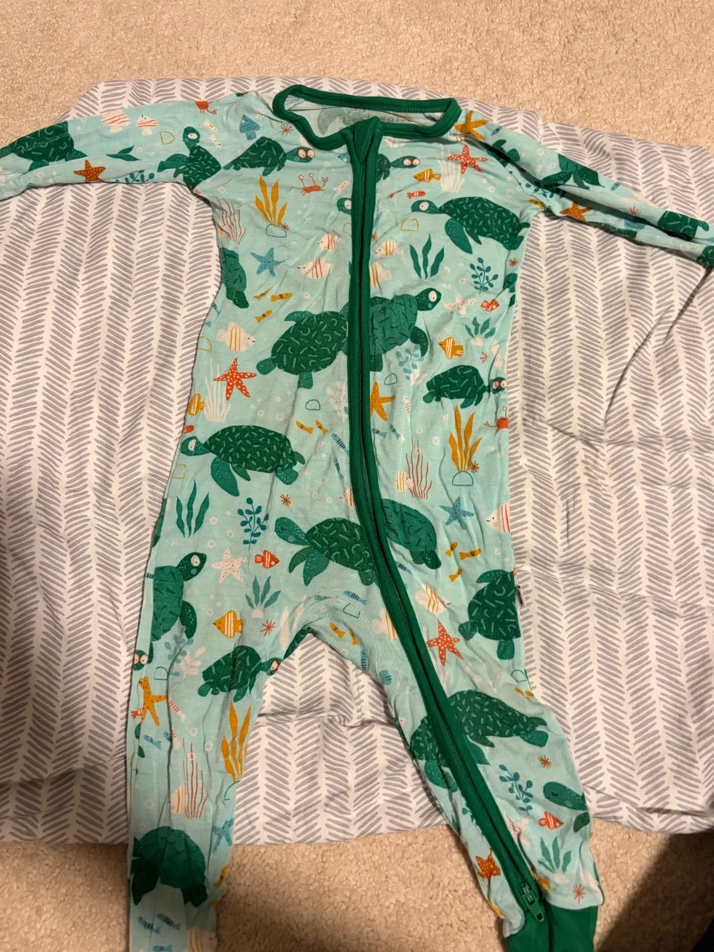 Little Sleepies Sea Turtle Zip One-Piece in Aqua and Green